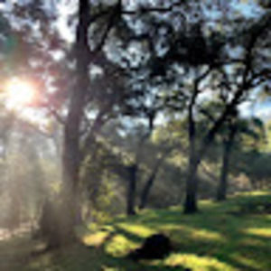 Meet your Posher, Joleen